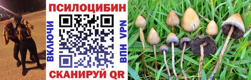 Галлюциногенные грибы прущие грибы  площадка формула  mega рабочий сайт  Ермолино  где купить наркотик 
